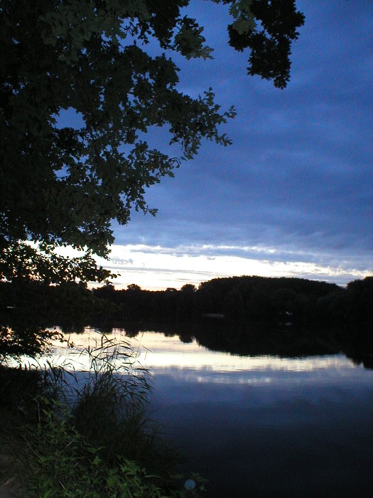 img00171.jpg