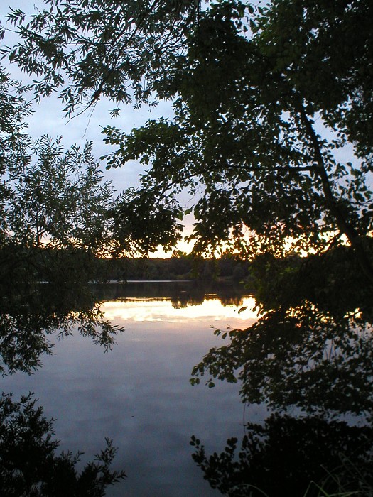 img00173.jpg