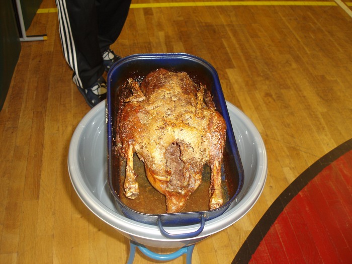 img00183.jpg